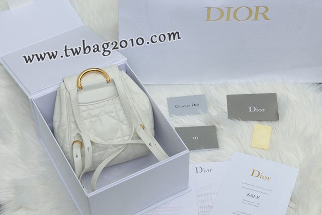 Dior专柜新款迪奥高仿原单Caro双肩包小羊皮女士双肩背包 djfk1573
